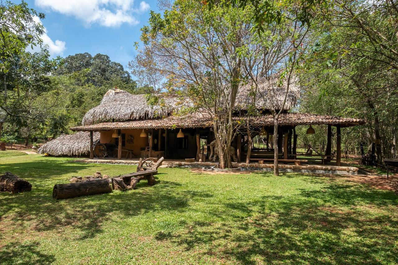 Banyan Camp Villa Hambegamuwa Exterior foto